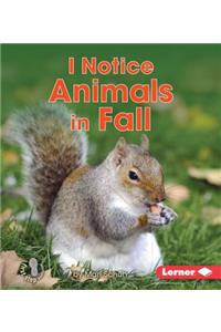I Notice Animals in Fall