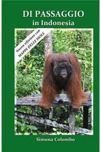 Di passaggio in Indonesia