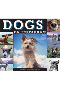 2021 Dogs on Instagram Boxed Daily Calendar