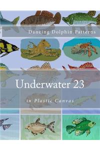 Underwater 23