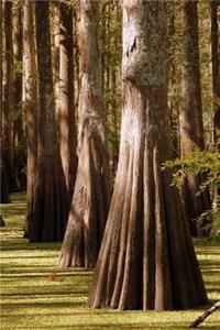 Trees in the Swamp Journal
