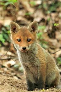 Baby Fox Animal Journal