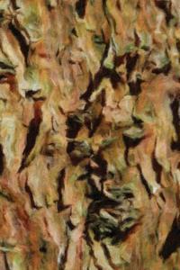Abstract Tree Bark Painted Notebook