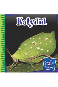 Katydid