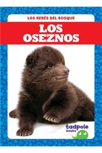 Los Oseznos