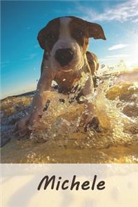 Michele