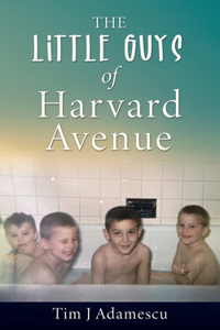 Little Guys of Harvard Avenue