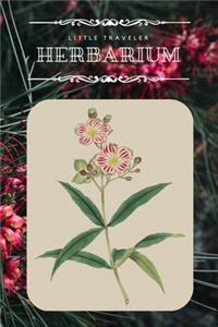 Little Traveler Herbarium