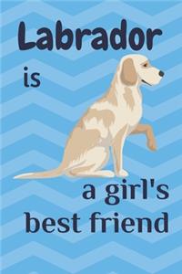 Labrador is a girl's best friend