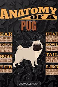 Anatomy Of A Pug