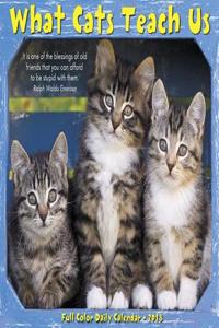 What Cats Teach Us 2018 Box Calendar