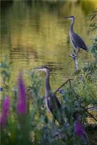 Two Blue Herons at the Lake Journal