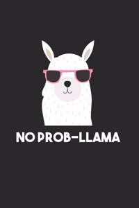Llama Notebook