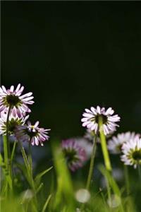 Daisies Notebook
