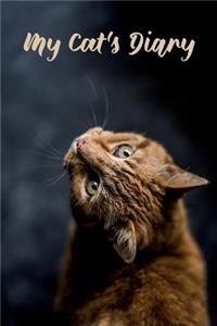 My Cat
