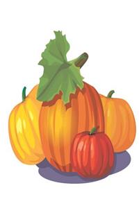 Pumpkins Decoration School Composition Book 130 Pages