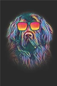 Newfoundland