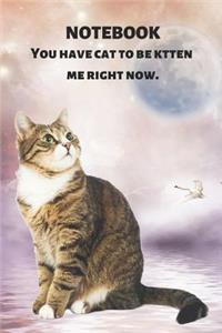 Notebook You Have Cat to Be Kitten Me Right Now
