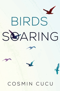 Birds Soaring