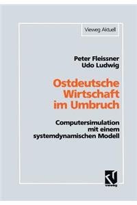 Ostdeutsche Wirtschaft Im Umbruch: Computersimulation Mit Einem Systemdynamischen Modell