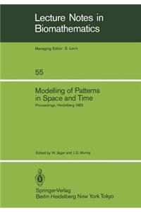 Modelling of Patterns in Space and Time: Proceedings of a Workshop Held by the Sonderforschungsbereich 123 at Heidelberg July 4-8, 1983