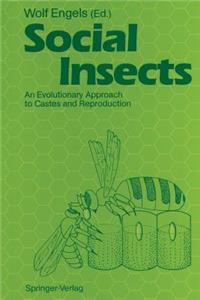 Social Insects