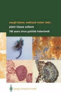 Plant Tissue Culture: 100 years since Gottlieb Haberlandt [Special Indian Edition - Reprint Year: 2020] [Paperback] Margit Laimer; Waltraud Rücker