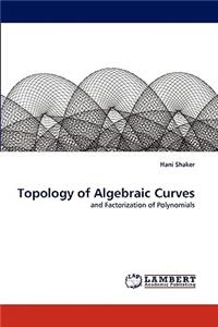 Topology of Algebraic Curves