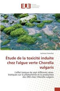 Étude de la Toxicité Induite Chez l'Algue Verte Chorella Vulgaris