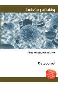 Osteoclast