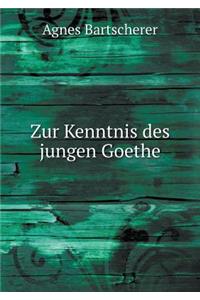 Zur Kenntnis Des Jungen Goethe