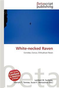 White-Necked Raven