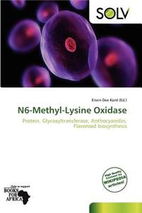 N6-Methyl-Lysine Oxidase