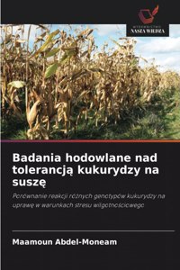 Badania hodowlane nad tolerancją kukurydzy na suszę