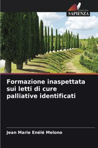 Formazione inaspettata sui letti di cure palliative identificati