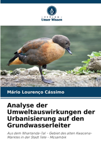 Analyse der Umweltauswirkungen der Urbanisierung auf den Grundwasserleiter