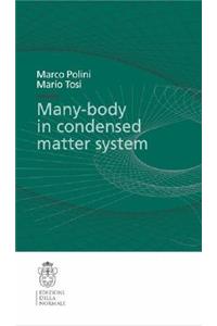 Many-Body Physics in Condensed Matter Systems