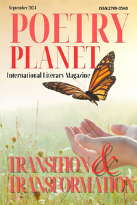 Transition & Transformation
