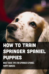 How To Train Springer Spaniel Puppies