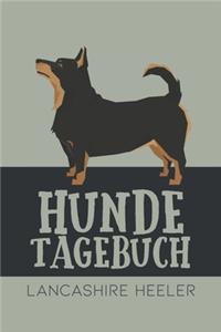 Hundetagebuch Lancashire Heeler