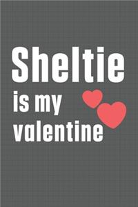 Sheltie is my valentine