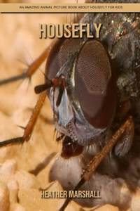 Housefly