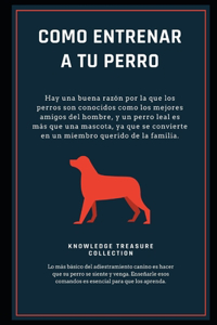 Como Entrenar A Tu Perro