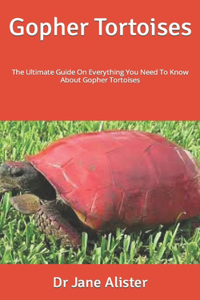 Gopher Tortoises