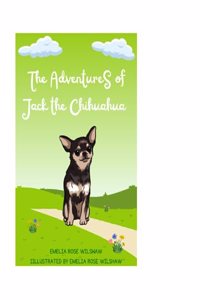 The Adventures of Jack the Chihuahua