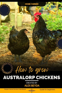 Australorp Chickens