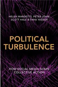 Political Turbulence