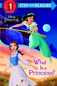 What Is a Princess? (Disney Princess)
