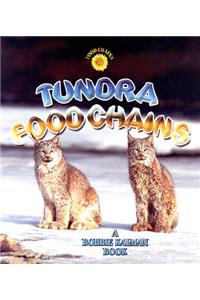 Tundra Food Chains