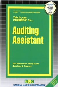 Auditing Assistant